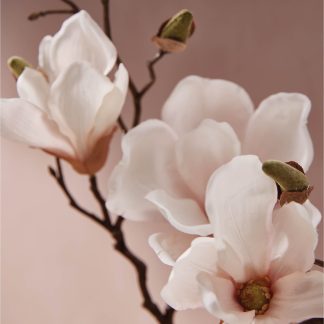 Magnolia Willow All-Purpose Cleaning Concentrate