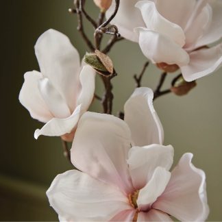 Magnolia Willow Hand Wash