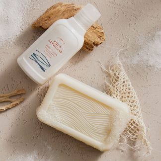 Aqua Coralline Petite Body Lotion