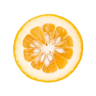 Spiced Pomander Signature Candle