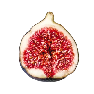 Paradiso Fig Classic Candle
