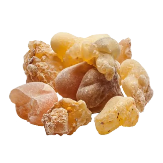 Feu De Bois Sachet Bundle