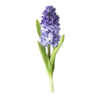 French Lilac Signature Reed Diffuser
