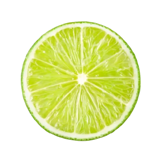 Paloma Melon Classic Reed Diffuser