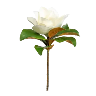 Star Magnolia Signature Candle