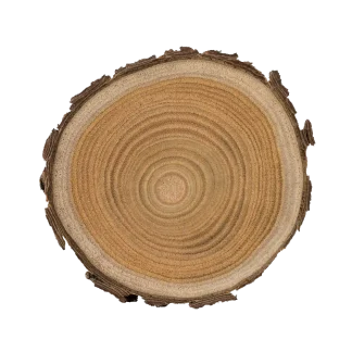 Feu De Bois Sachet Bundle