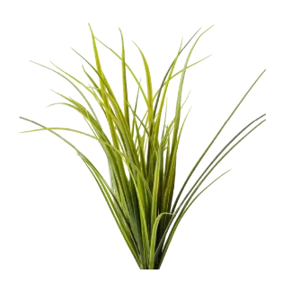 Sea & Dune Signature Reed Diffuser