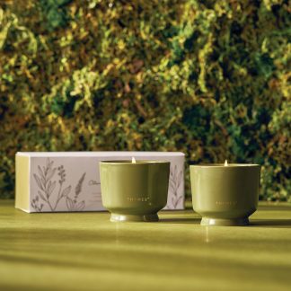 Outdoor Oasis Citronella Grove Aromatic Candle Set