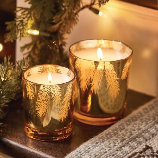 Frasier Fir? Gilded 13 oz Poured Candle